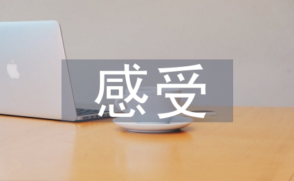 少數(shù)民族傳統(tǒng)文化感受