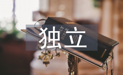 獨立院校網絡廣告設計實踐性研究