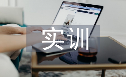 專(zhuān)業(yè)技能實(shí)訓(xùn)報(bào)告