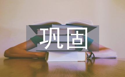 區兩基鞏固提高情況匯報
