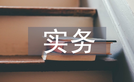 會(huì)計(jì)電算化對(duì)會(huì)計(jì)理論與實(shí)務(wù)影響