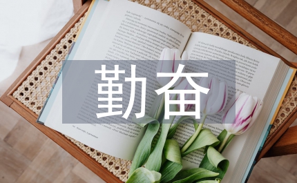 勤奮+務實=收獲