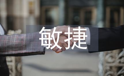 敏捷虛擬企業產品創新分析論文