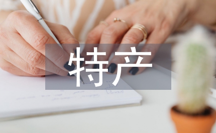 平遙古城特產包裝設計思路