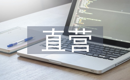 直營連鎖企業電子商務論文