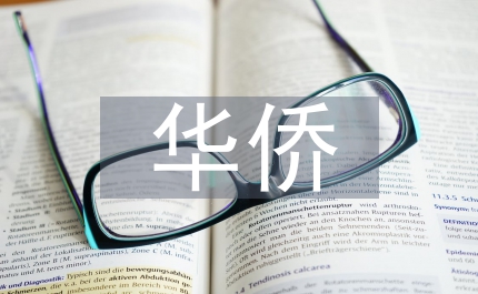 海外華僑華人和華文媒體高度評價中共十七大