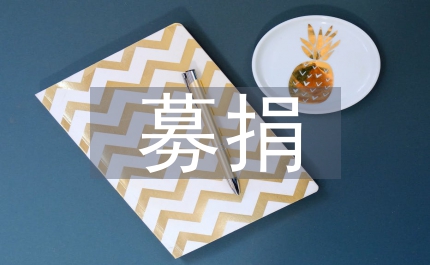 手牽手救災募捐活動方案