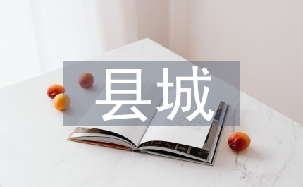縣城工作打算和安排