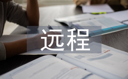 基于IT技術的遠程審計展望