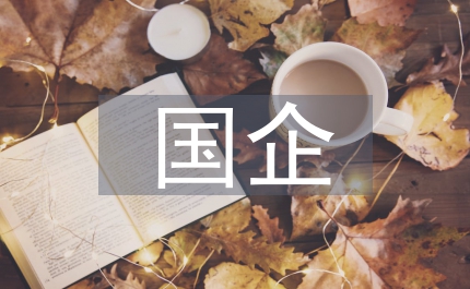國(guó)企和民營(yíng)企業(yè)財(cái)會(huì)問(wèn)題研究論文