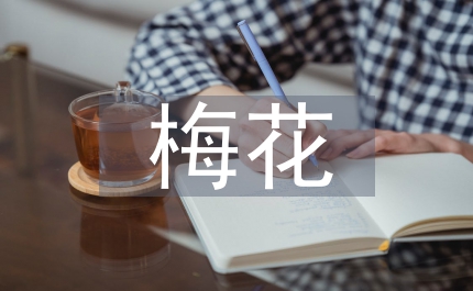 梅花魂語文教學教案