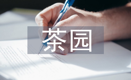 茶園的經營承包合同