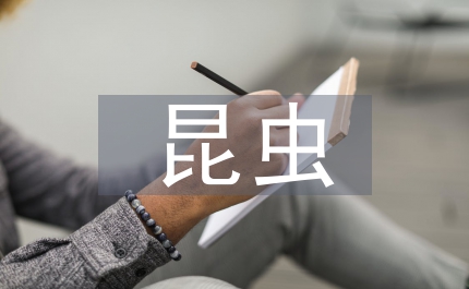昆蟲的作文