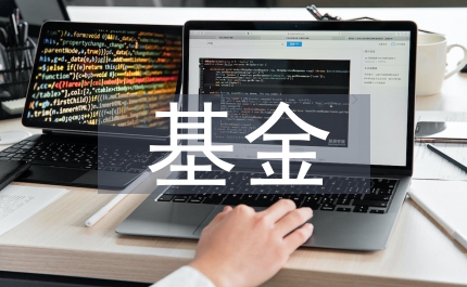 城鄉(xiāng)居民基本養(yǎng)老保險(xiǎn)基金監(jiān)管問題