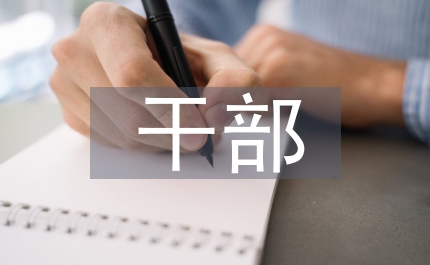 黨委干部老年服務總結