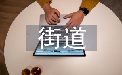 縣域街道工作計劃