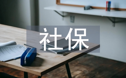社保年度總結