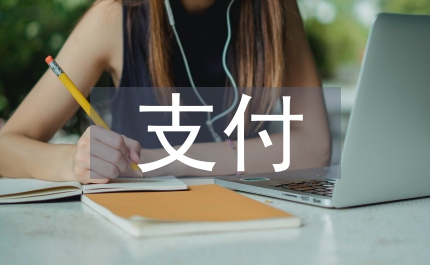 第三方支付的風險分析