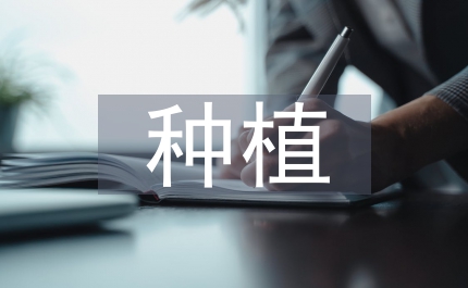 縣區農產品種植基地安全建議