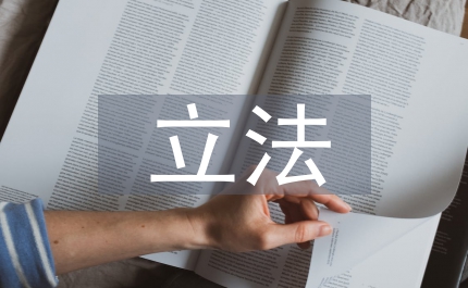 立法理念論文