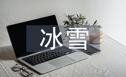 從南方冰雪災(zāi)害看加強我國基礎(chǔ)設(shè)施發(fā)展的提案