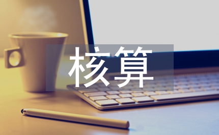 會計電算化賬務處理系統中輔助核算思考
