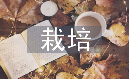 林業局樹苗栽培承包合同