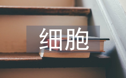 細(xì)胞增殖論文