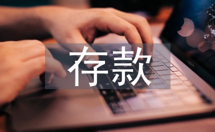 存款保險體系建立
