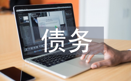 地方債務(wù)審計