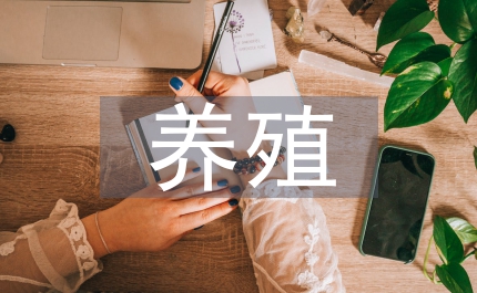 獺兔養殖新技術