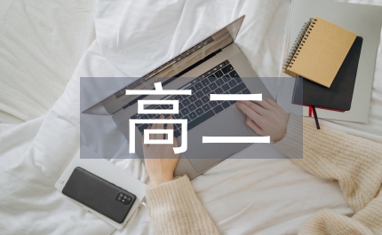 高二班主任個人匯報